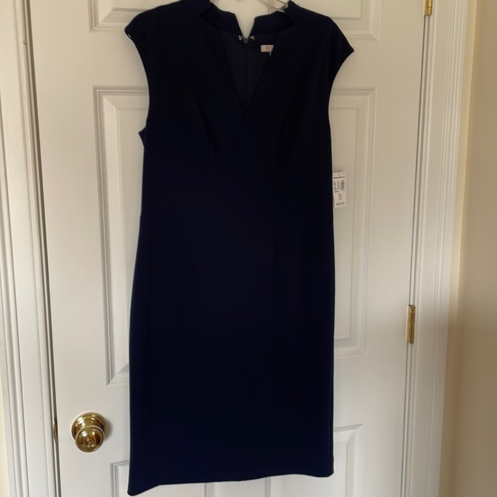 ROZ and Ali sheath dress